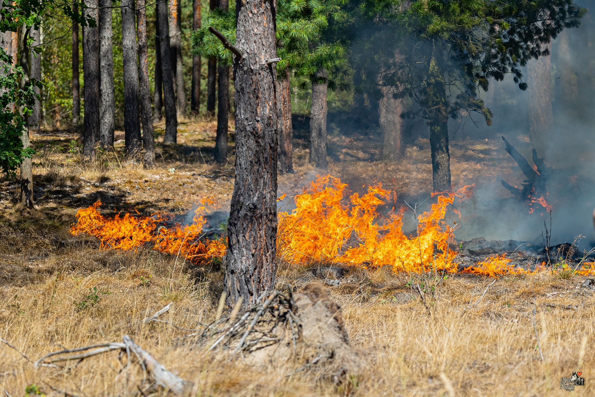🔥 12:52. HOŘÍ LES. Závodní den se během okamžiku změnil v boj s ohněm
