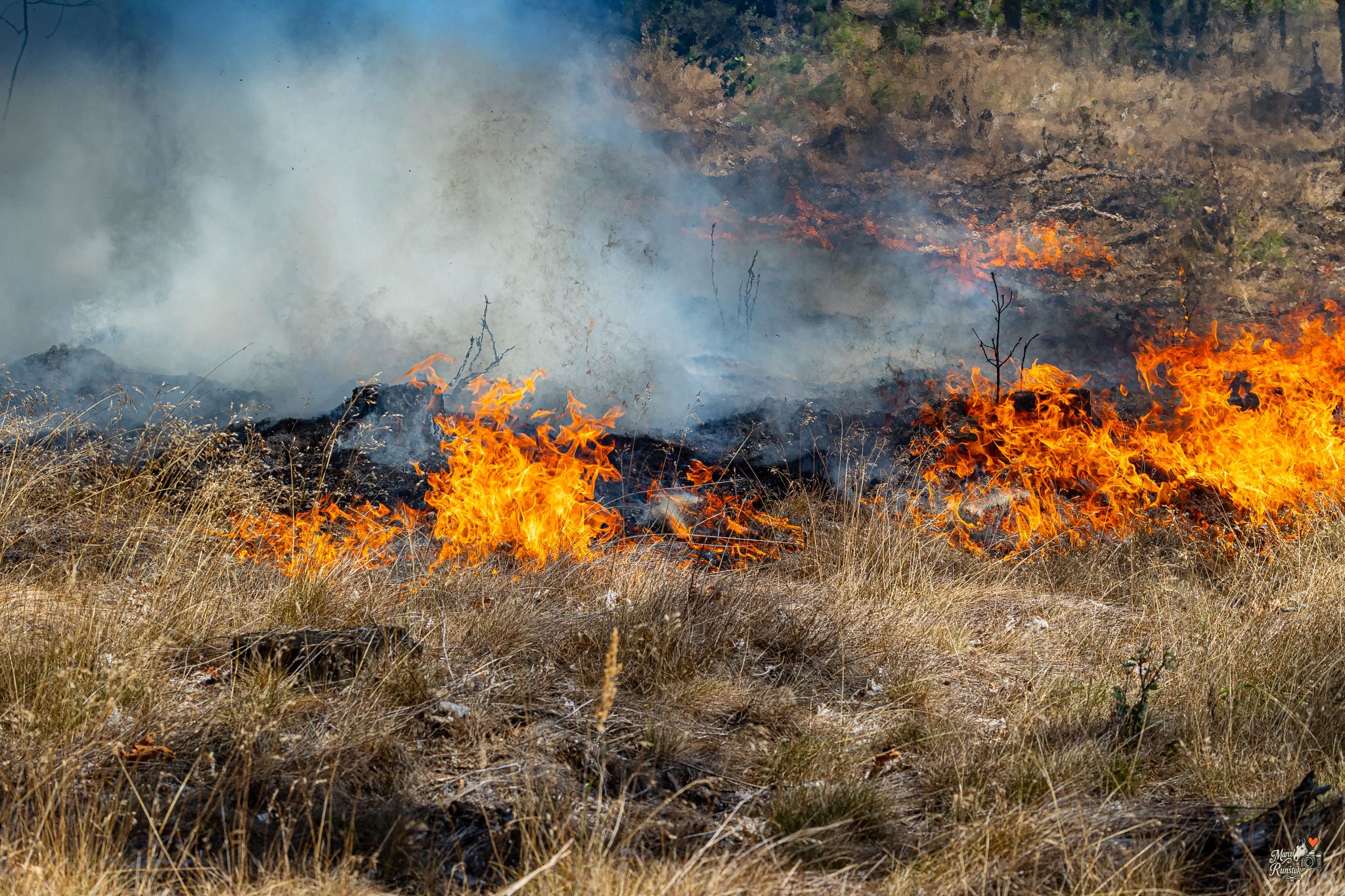 🔥 12:52. HOŘÍ LES. Závodní den se během okamžiku změnil v boj s ohněm