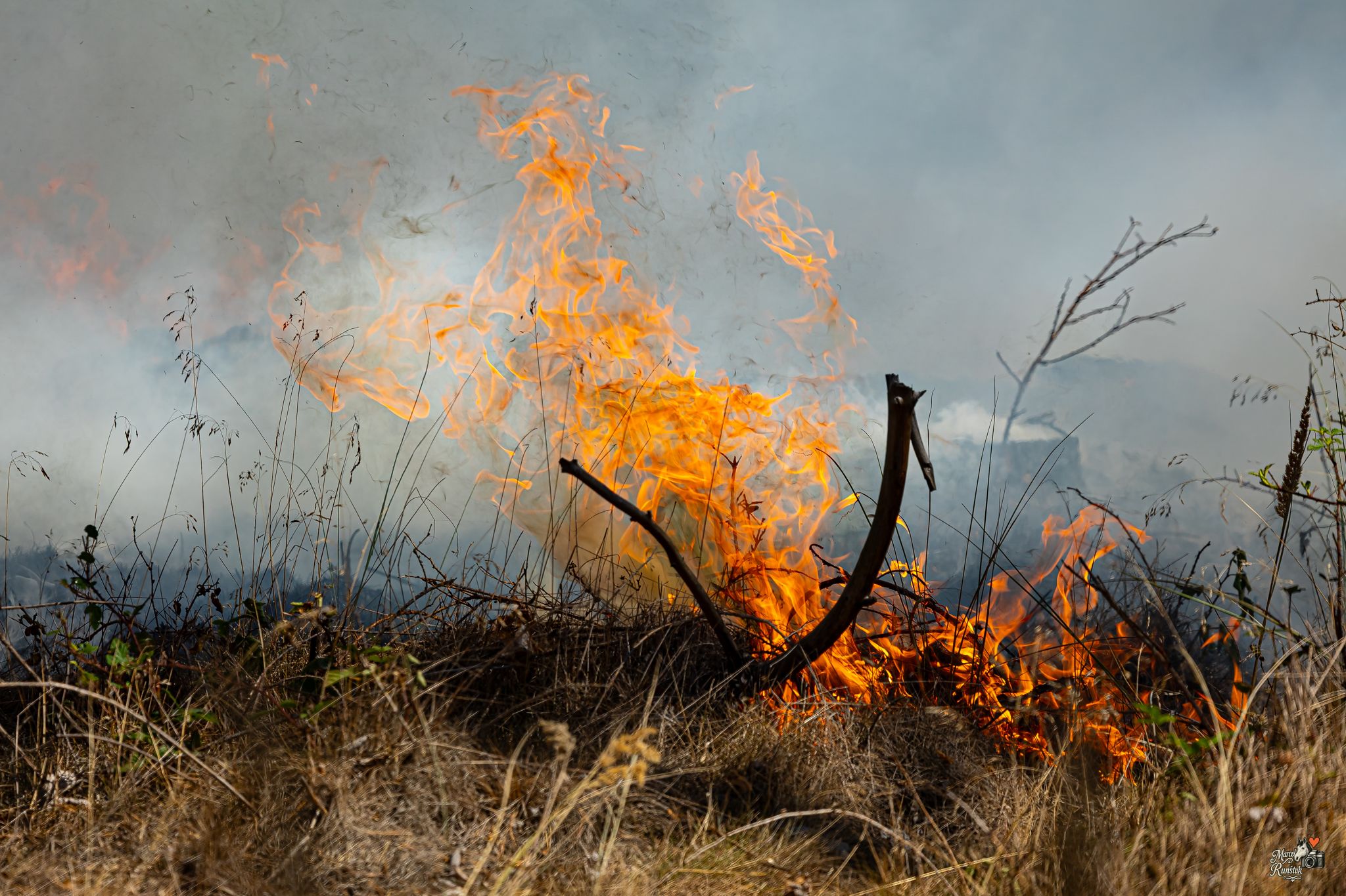 🔥 12:52. HOŘÍ LES. Závodní den se během okamžiku změnil v boj s ohněm